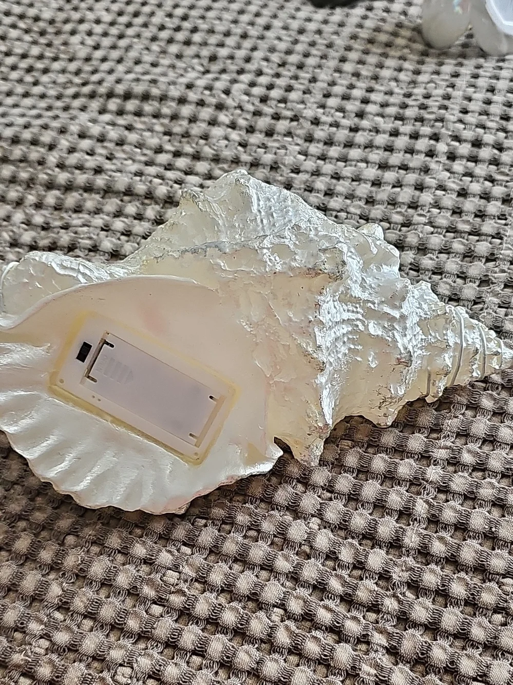 White Decorative Seashell Accent with LED Battery Compartment
